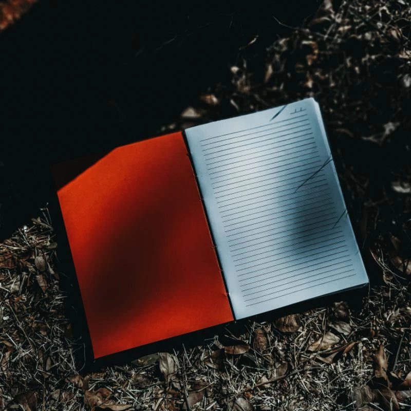 Diário American Horror Story®