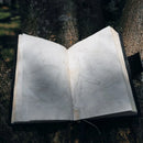 Grimório Olho de Gato®