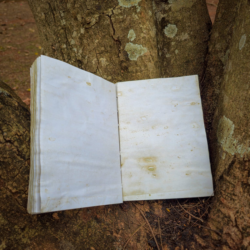 Miolo para Grimorio Folhas Envelhecidas